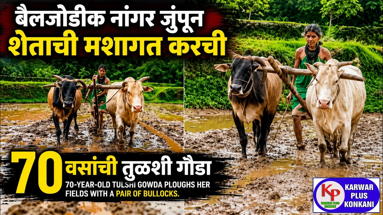 KARWAR PLUS KONKANI NEWS TODAY 20-07-2026 #konkaninews  #karwarkokaninews #Karwarpluskonkani
