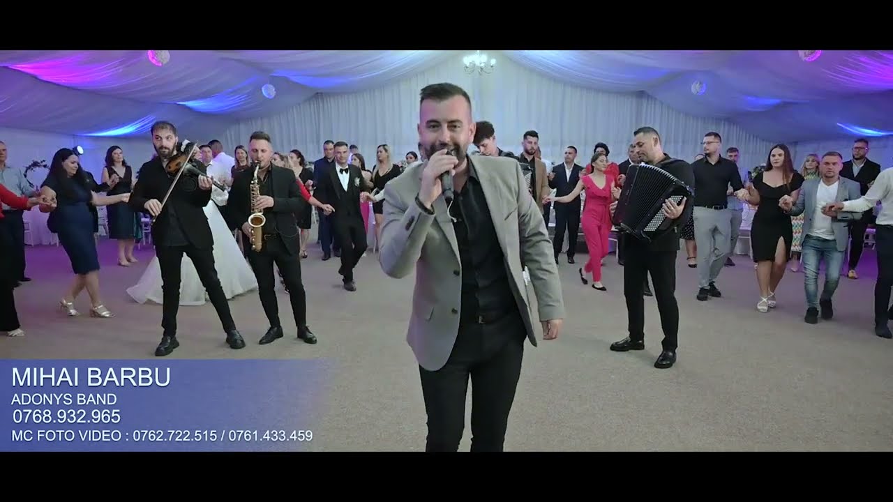 MIHAI BARBU & ADONYS BAND - COLAJ HORE ( COVER TINA DAVID/LEO DE LA ROSIORI)