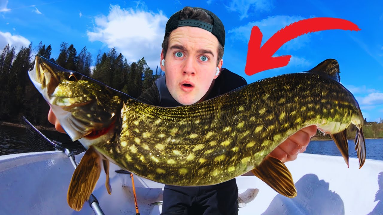 Jakten på storgjedda - Episode 1💥- 2022 //Gjeddefiske på våren🐊