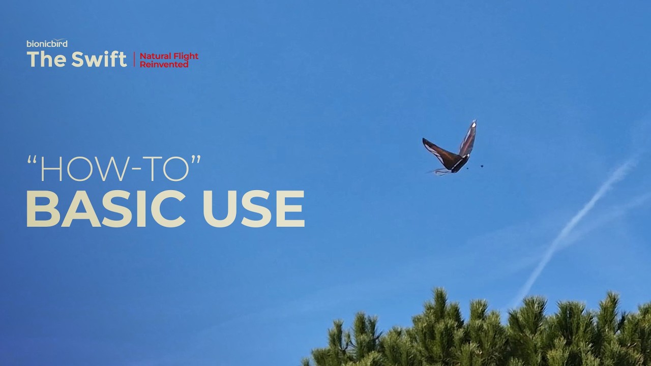 How to basics | The Swift outdoor flight at 15 km/h wind | Bionic Bird