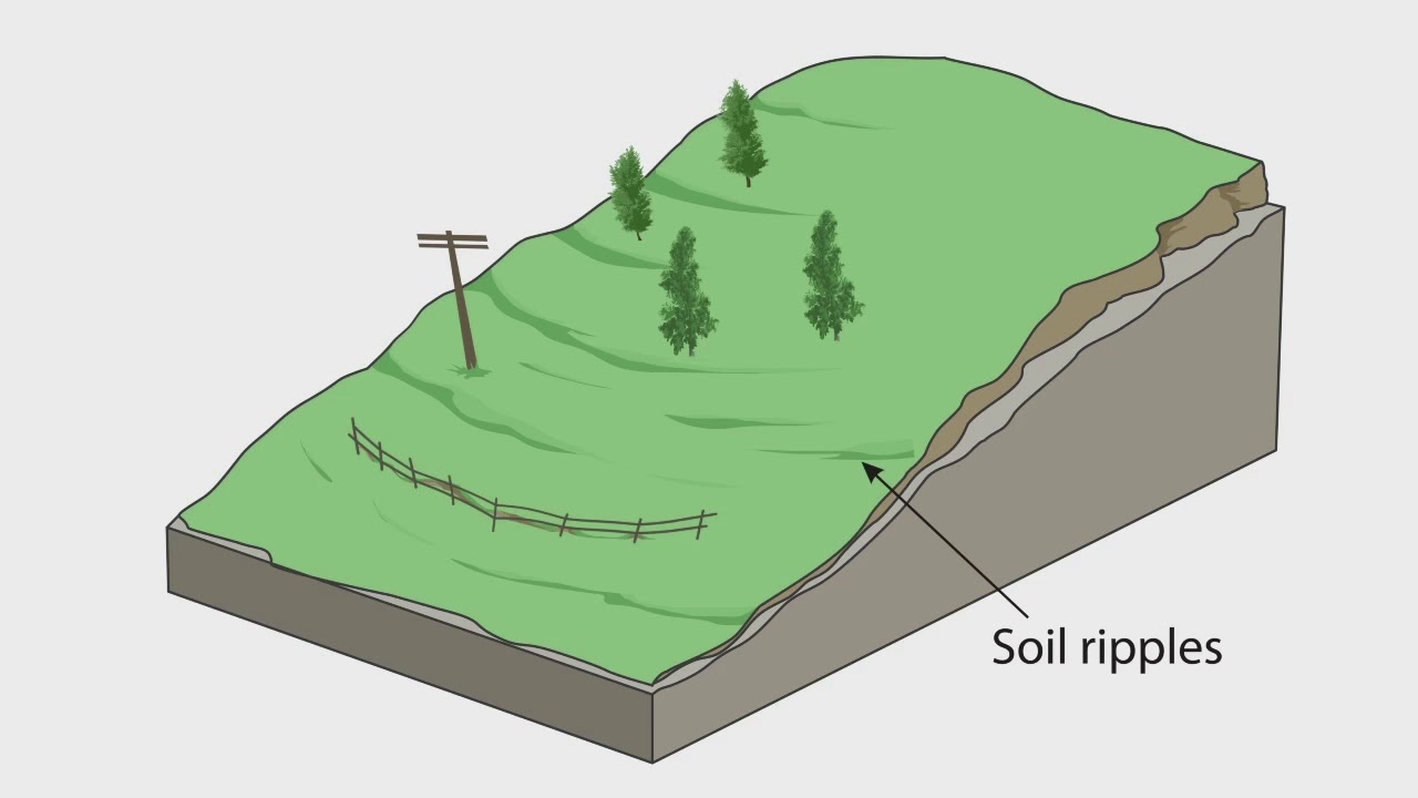 Evidence of a soil creep