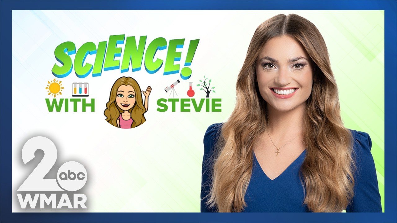 Science with Stevie: Vernal Equinox