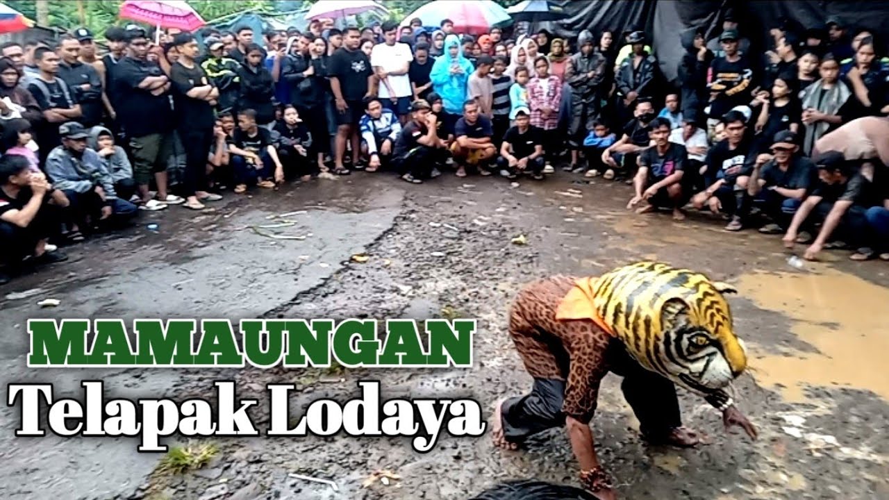 Mamaungan telapak lodaya // sundanesse art and culture