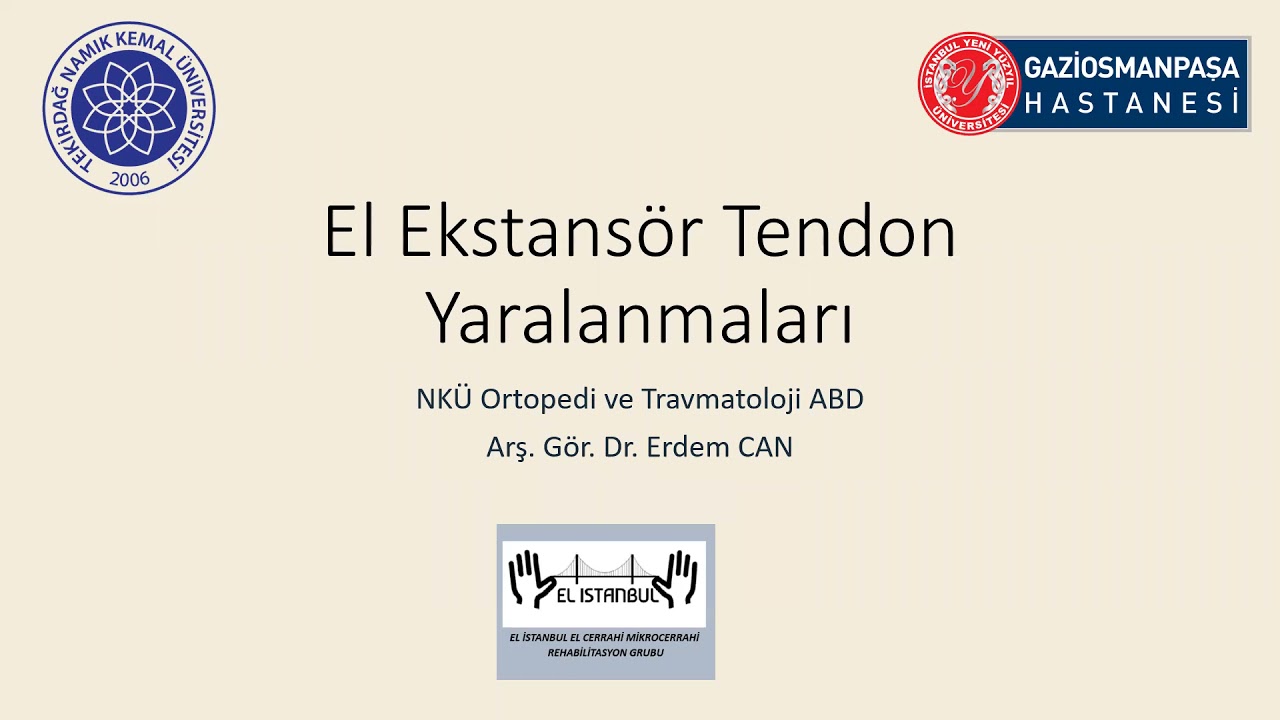 ekstansor tendon anatomisi ve yaralanmaları