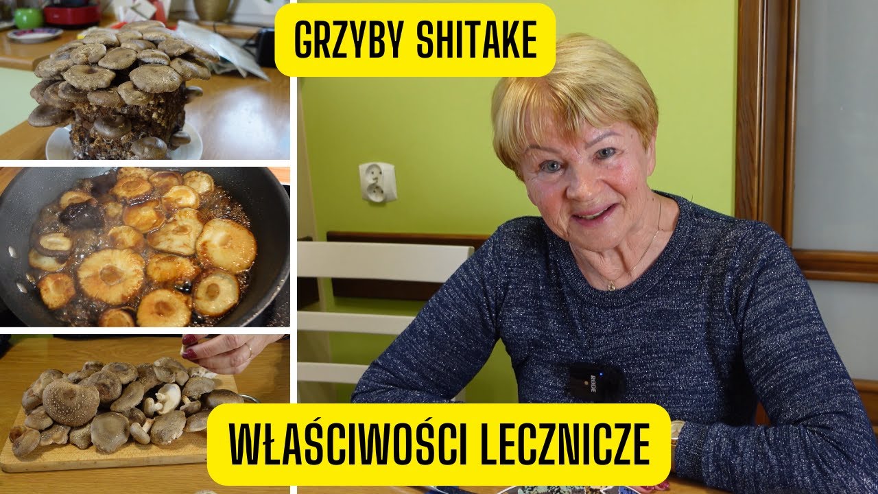 Grzyby Shitake &ndash; właściwości lecznicze (Twardnik Japoński, kr&oacute;l wśr&oacute;d grzyb&oacute;w)