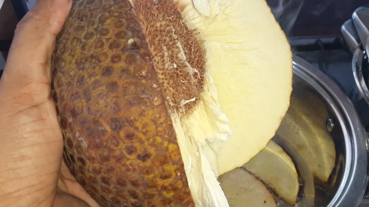 I Made Chips With This! Breadfruit Chips