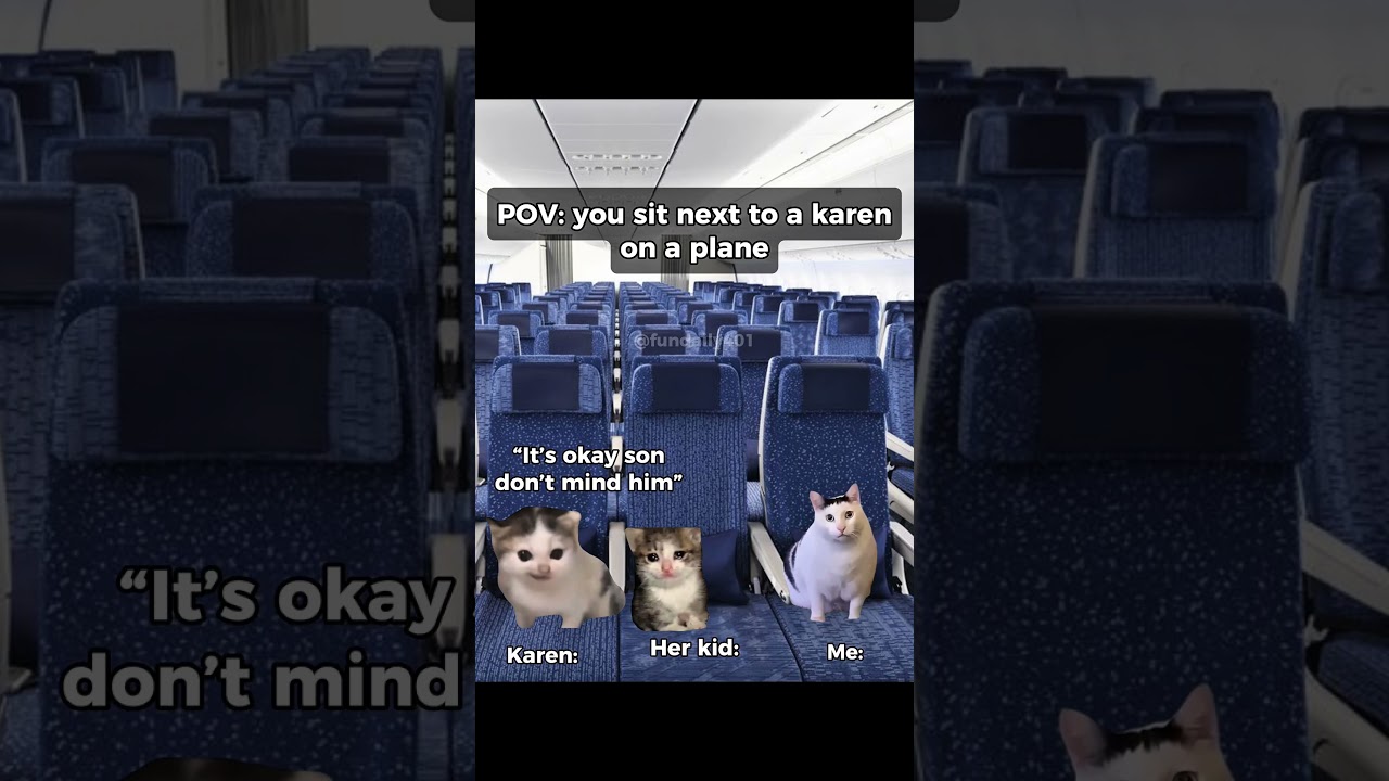 You sit next to a karen on a plane #shorts #relatable #catmemems