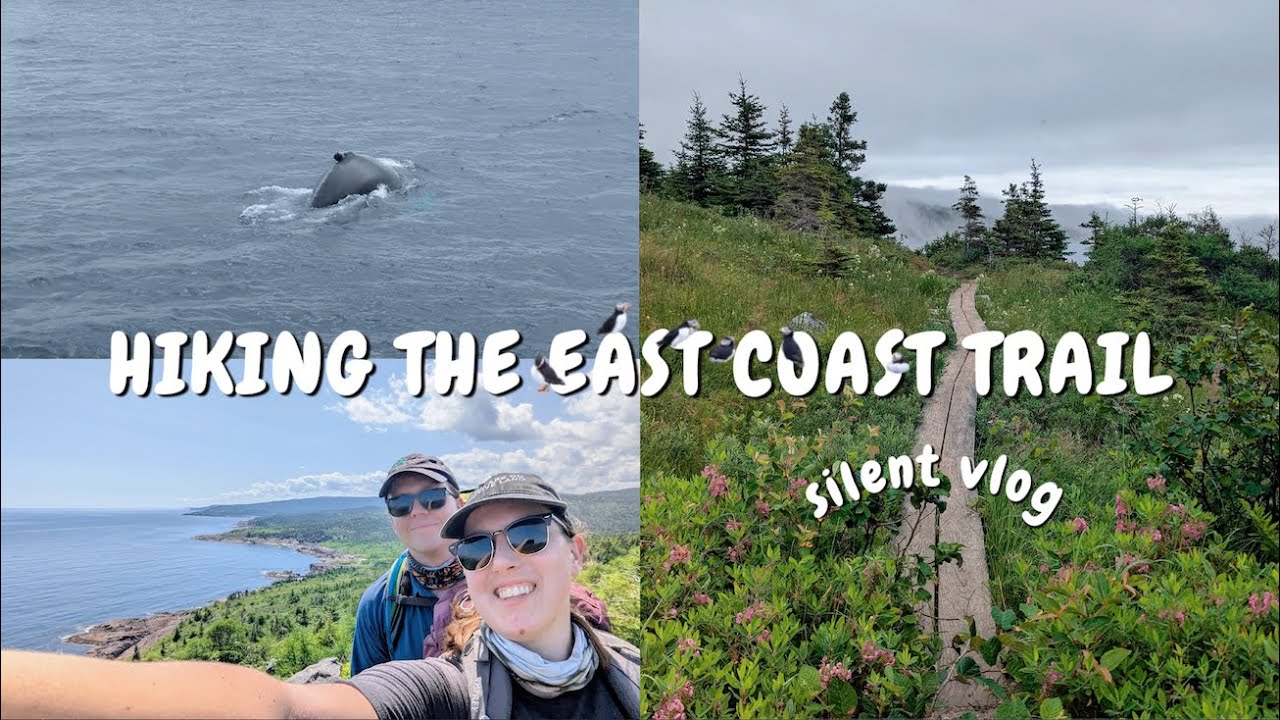 EAST COAST TRAIL 🐋🏕️ newfoundland, whales, puffins, ocean, hiking