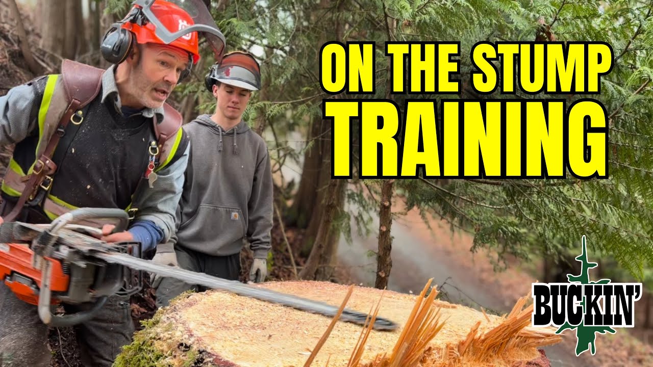 So You Wanna Cut Trees, Do Ya?
