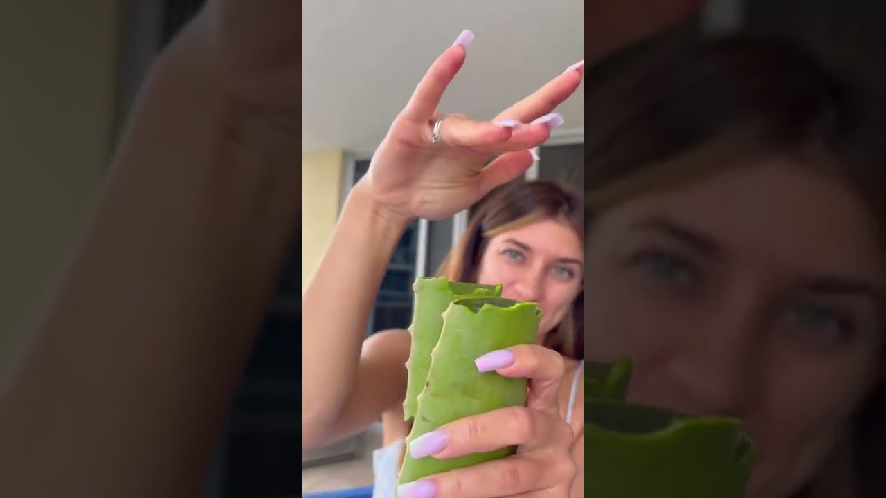 Огромный лист алоэ Вера😳