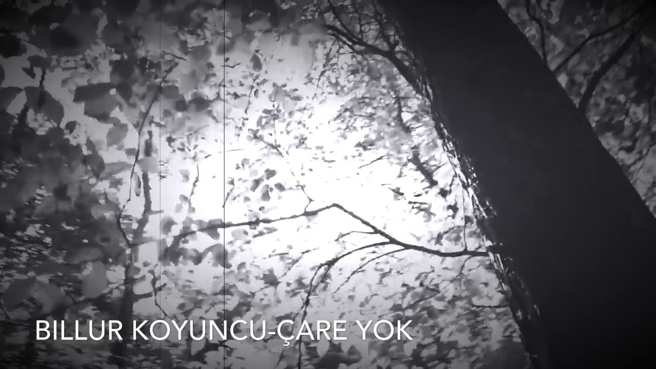 Billur koyuncu -Çare Yok
