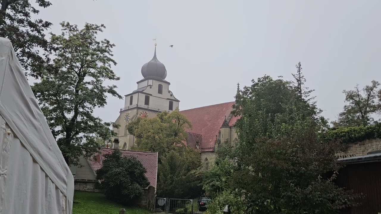 Herrenberg (BB) evang. Stiftskirche: gro&szlig;es Festgel&auml;ut (20 Glocken)