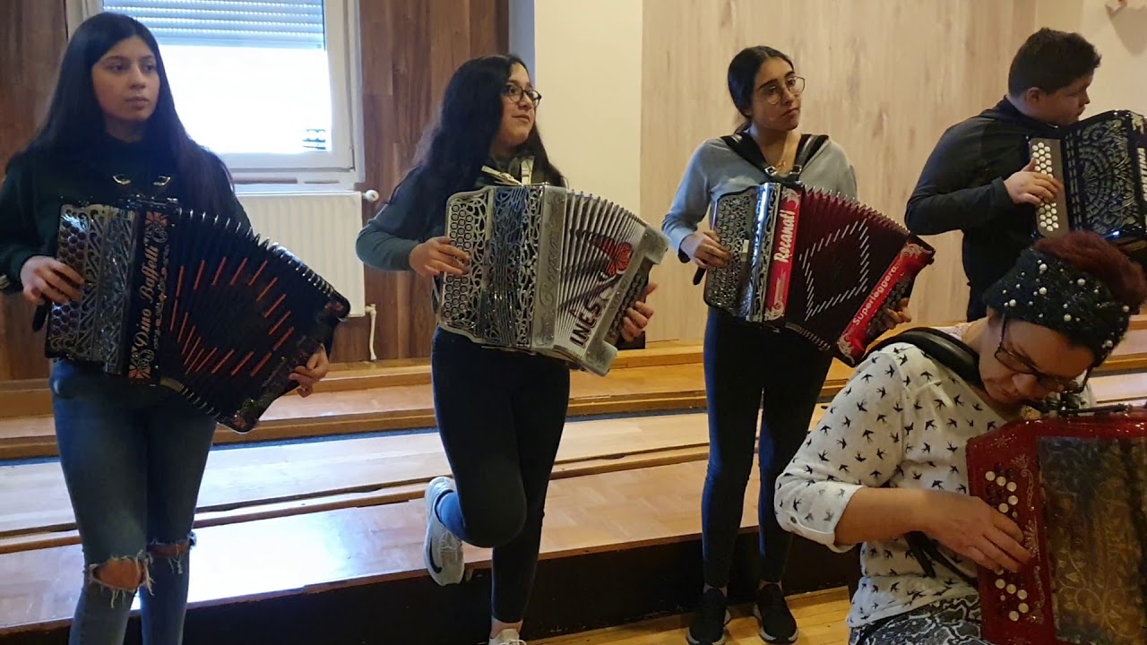 Grupo de concertinas saudades lusitanas