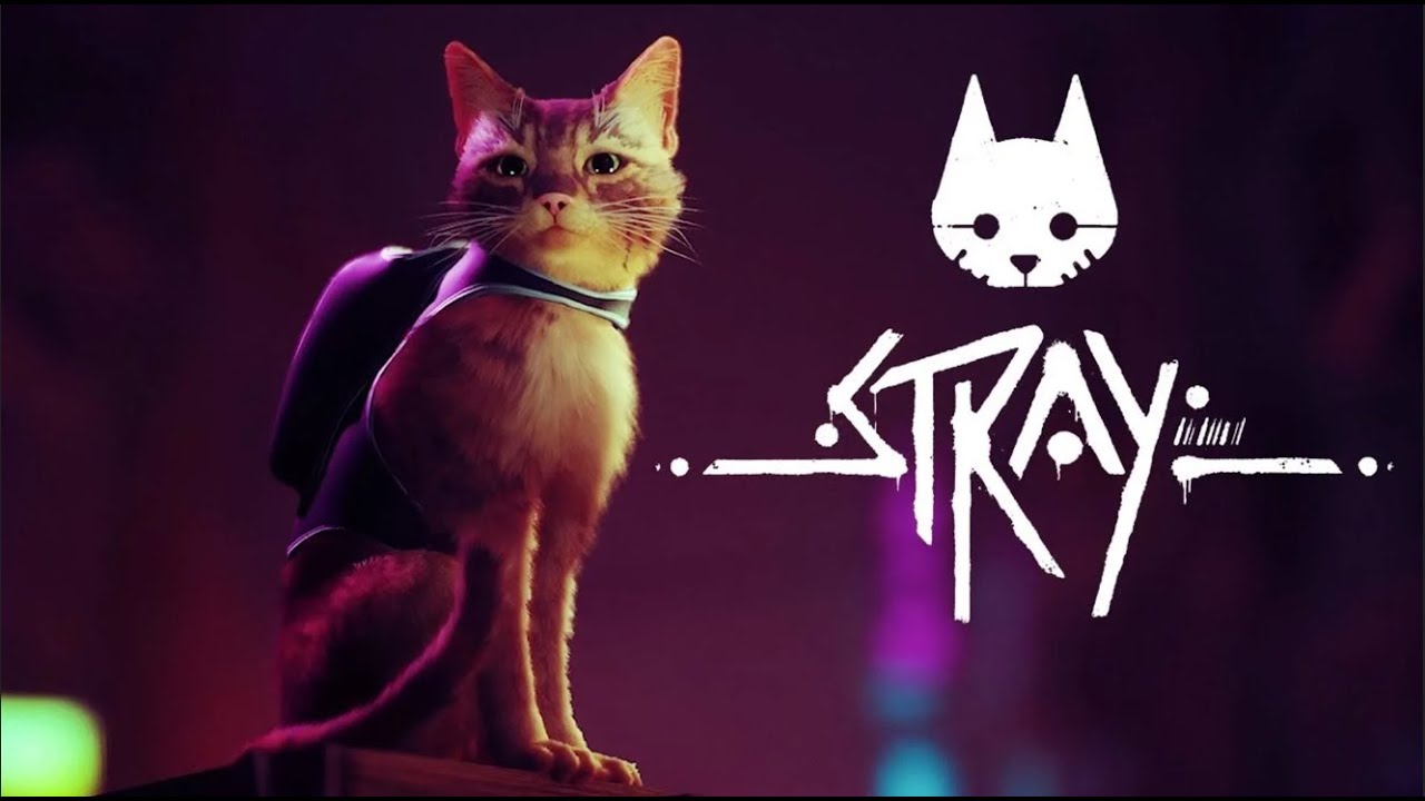 Stray #4 Попал в новый город