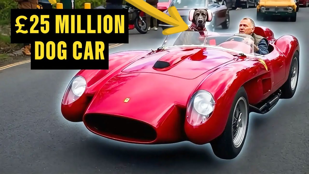 BILLIONAIRE DRIVES DOG IN HIS PRICELESS FERRARI