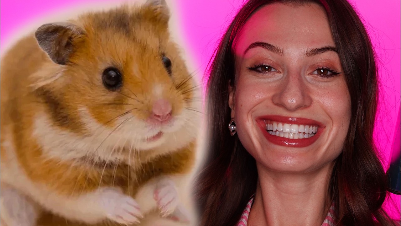 HAUL VECÍ PRE ŠKREČKA