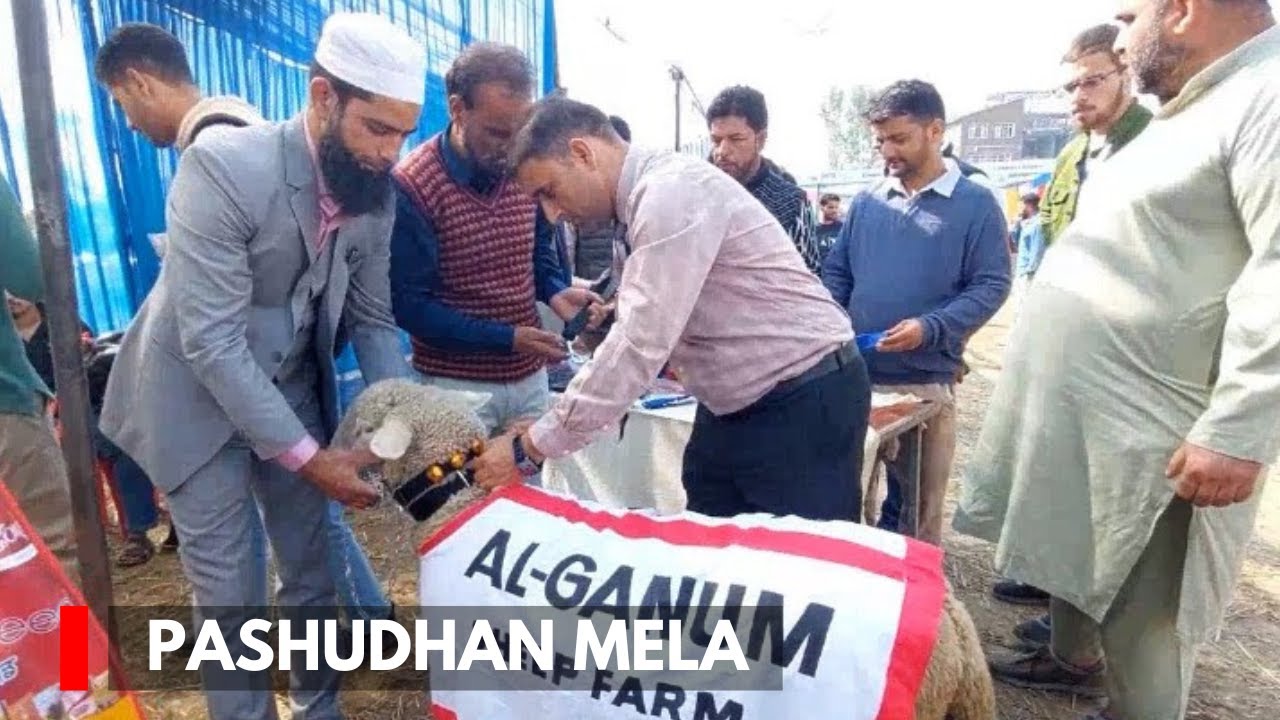 Ganderbal: SKUAST-K and J&K Dairy Farmers Host Pashudhan Mela at Shuhama