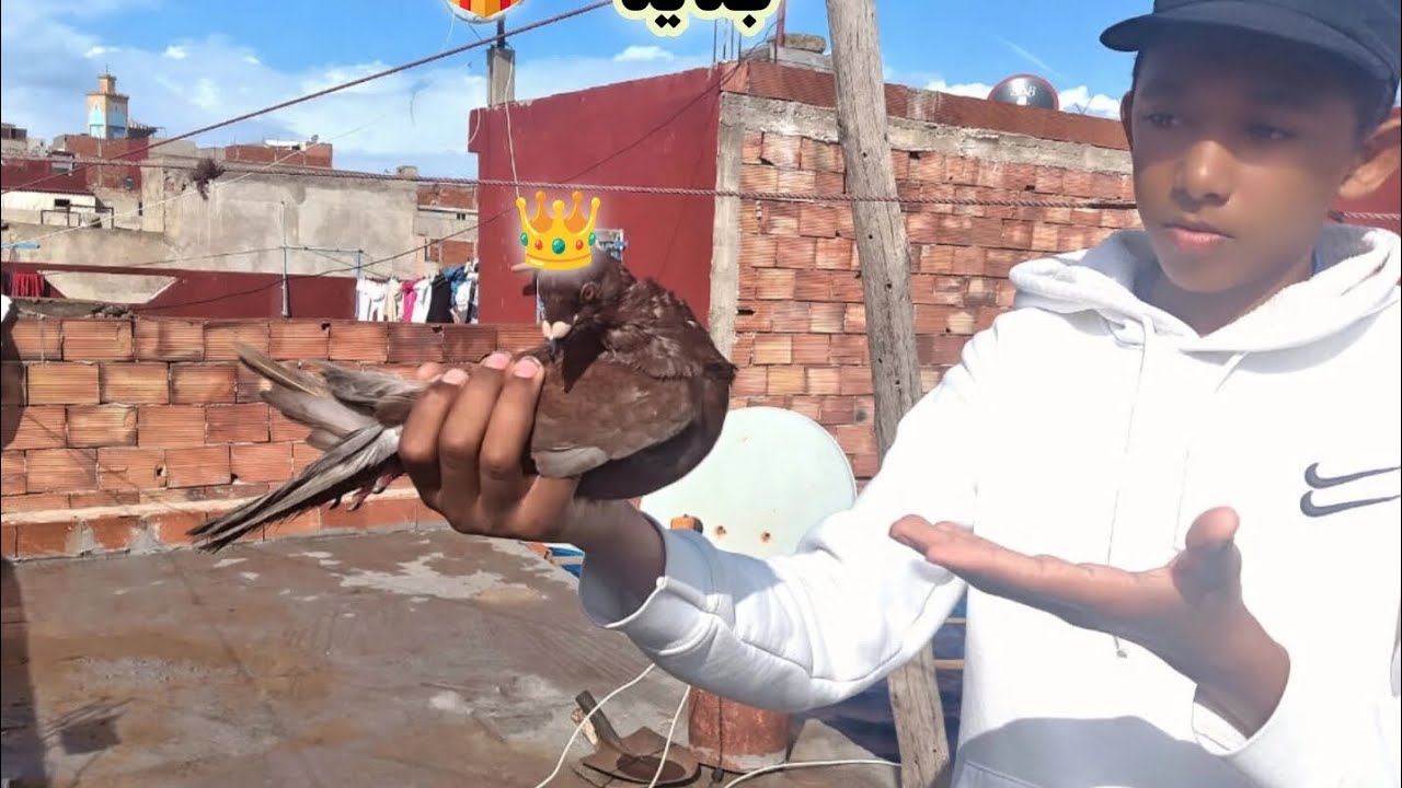 كيفاش تصنعا قفز لي الحمام 🕊️😍