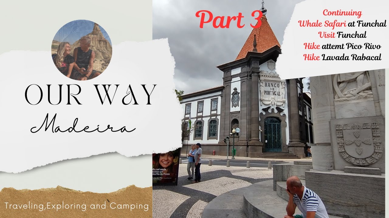 Whale Safari, Foggy Peaks & Magical Forest Trails  Madeira Adventure Ep  3