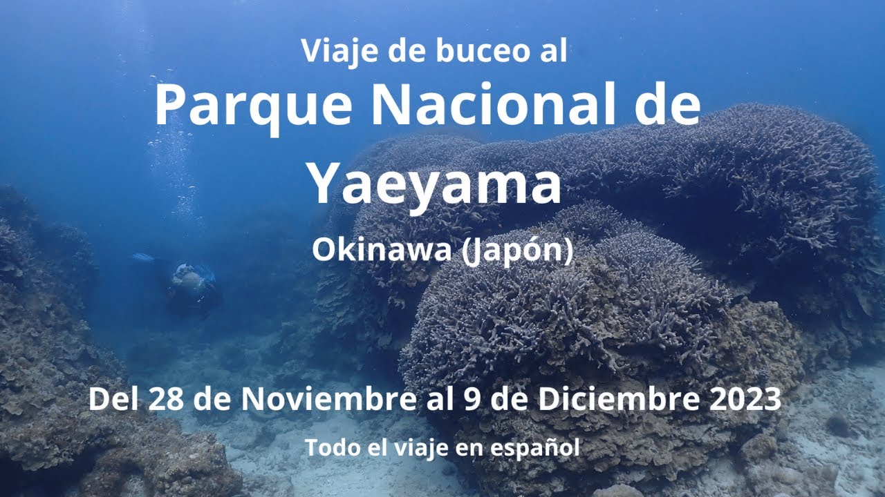 Viaje de buceo a Okinawa-Japon: 5 dias de buceo y 3 días de tour privado por Tokyo
