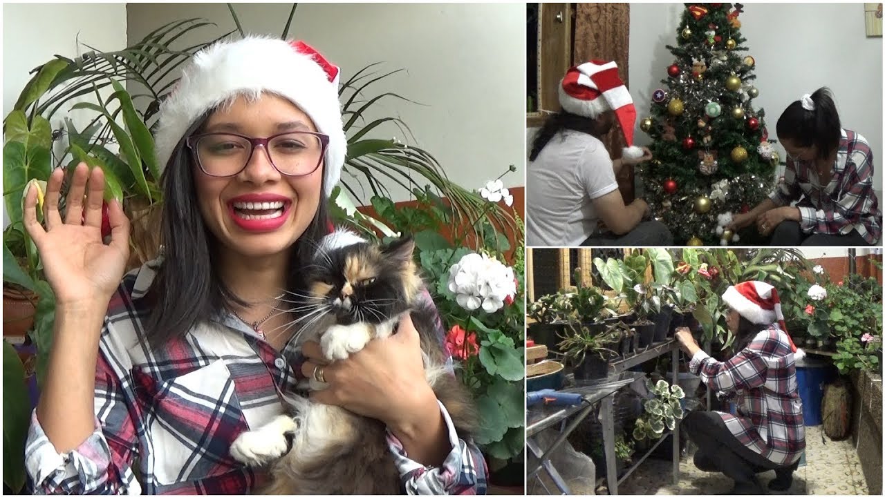 Decorando navideño mi jardín│Candy Bu