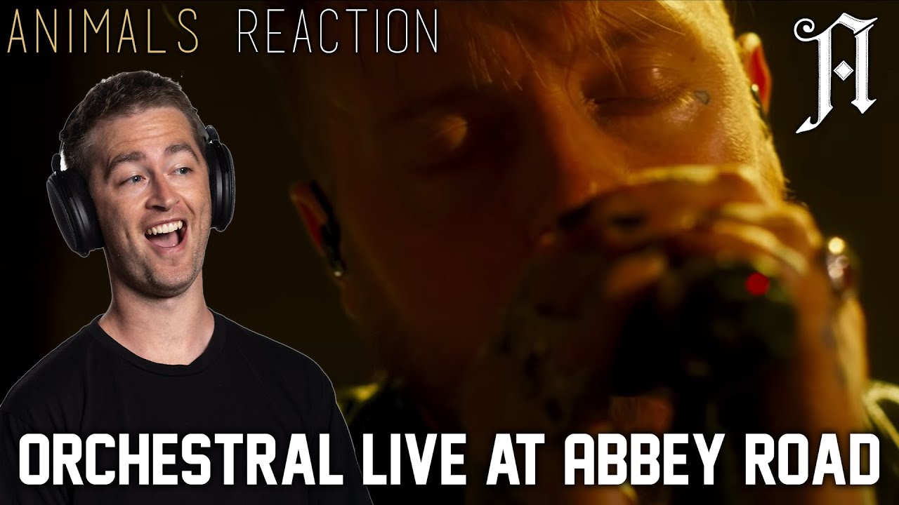 Architects - "Animals" (Orchestral Version) - Live at Abbey Road REACTION // Aus Bass Player Reacts