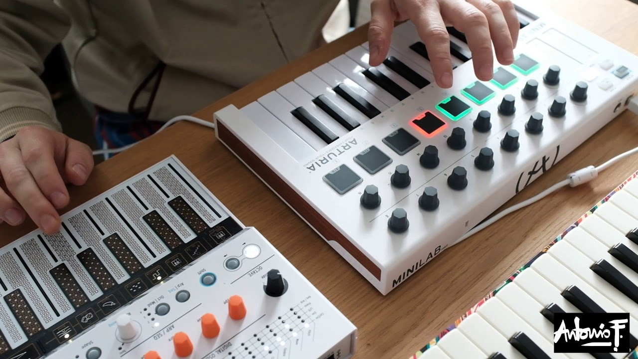 Billie Eilish - Therefore I am (Livelooping Instrumental - Arturia Minilab MkII/Microfreak)
