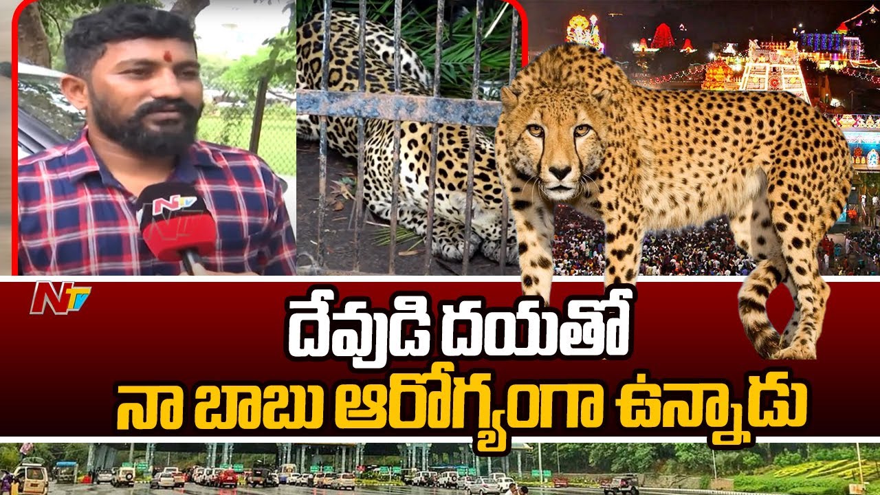 చిరుత ఎత్తుకొని వెళ్ళిన తర్వాత తెలిసింది : Kaushik Father F2F | Tirumala Leopard Incident | Ntv
