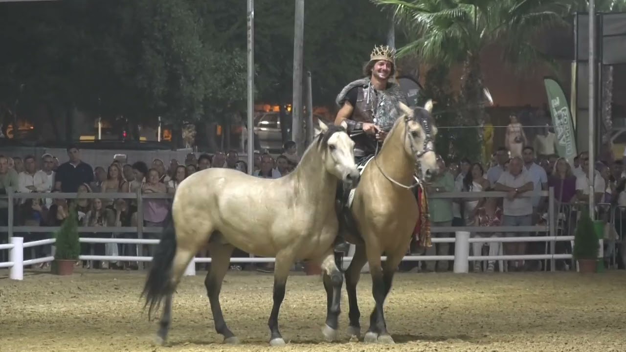 ESPECTÁCULO ECUESTRE  FERIA VILLAMARTÍN 2025