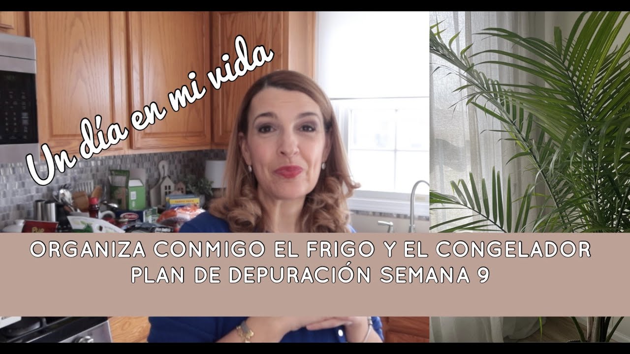 UN DIA EN MI VIDA✨ASI ORGANIZO EL FRIGORIFICO Y CONGELADOR❄️COMPRA SEMANAL🧺#organizacion #limpieza