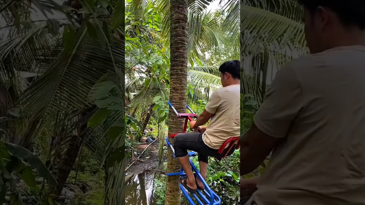 Alat Panjat Kelapa Modern: Aman, Cepat, dan Praktis!