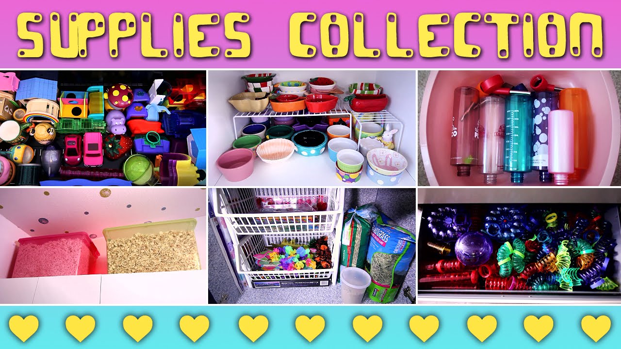 Hamster Supplies Collection | 2015