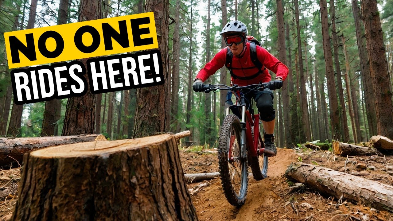Hopton Woods: MTB Heaven or Total Punishment?