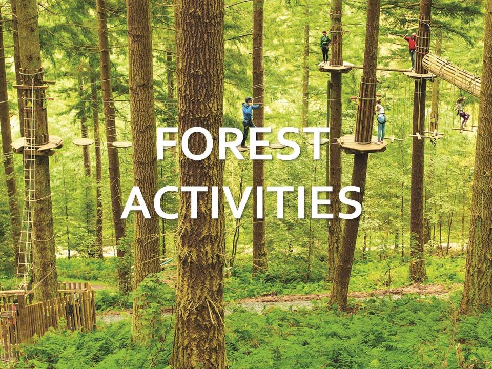 North York Moors - Forest Activities