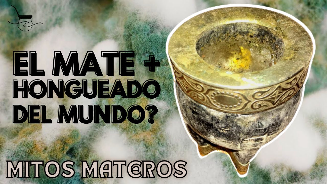 ¿Se puede salvar un mate imperial LLENO de hongos? Parte 1
