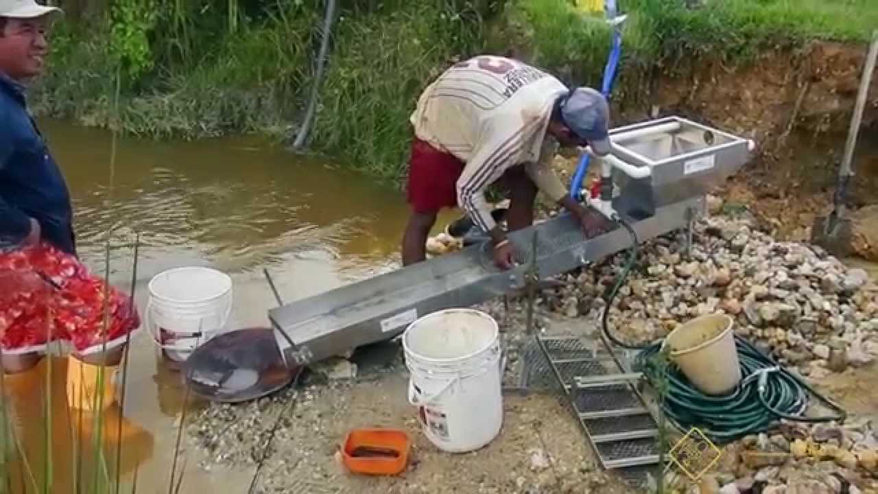LAVANDO ORO con la Draga Cajón Ecológica (Resultado Final Sorprendente)