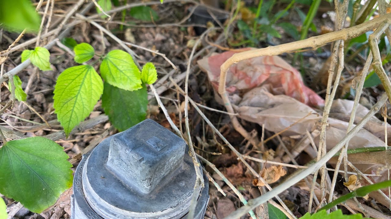 this sewer line had bellies and egg shells like you wouldn't believe
