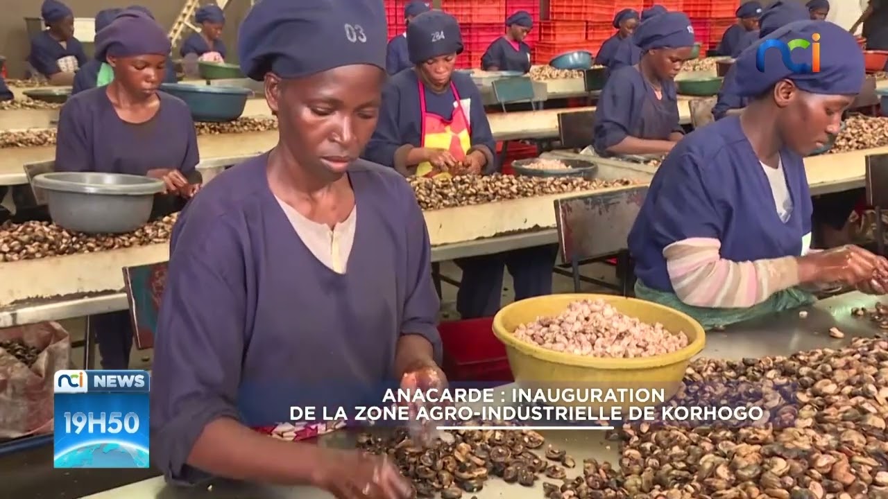 NCI News | Anacarde : inauguration de la zone agro-industrielle de Korhogo