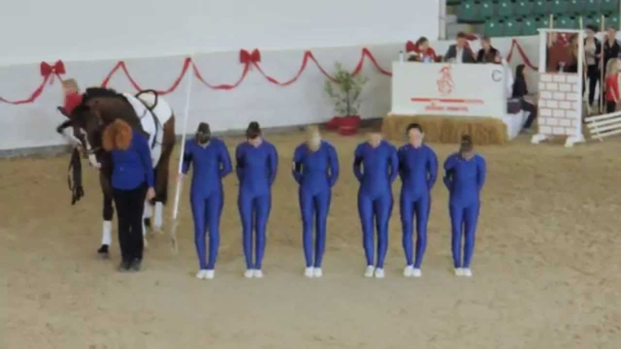 Voltigieren Wildenburg - Juniorteam - Pflcht - LM Zweibrücken 2014