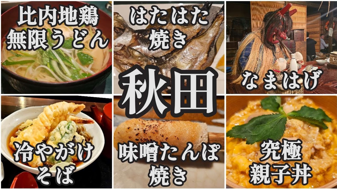 【番外編】秋田ひとり旅｜駅前グルメ5選！比内地鶏・稲庭うどん・ハタハタ