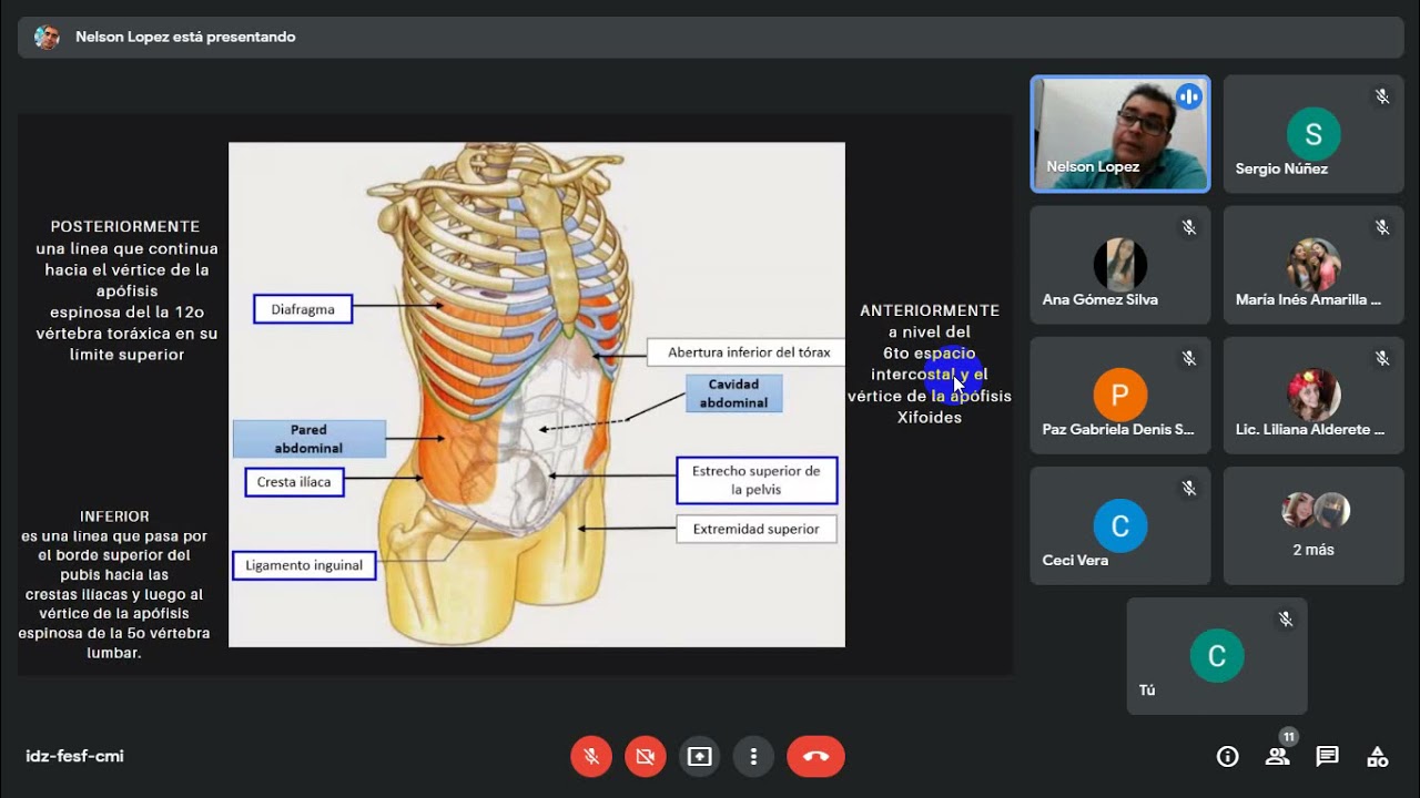 Repaso de Semiolog&iacute;a Abdominal