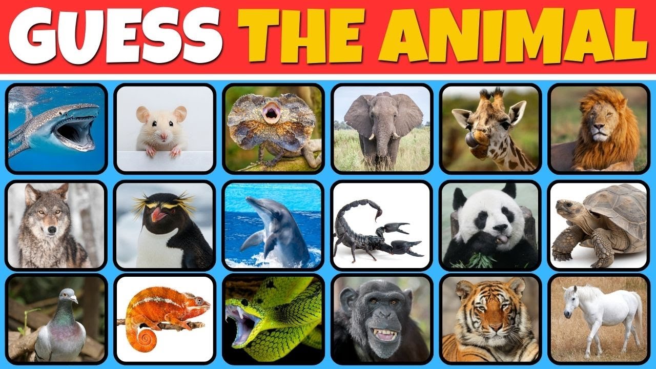 Can You Name All 50? 🦁 The Ultimate GUESS THE ANIMAL Quiz!