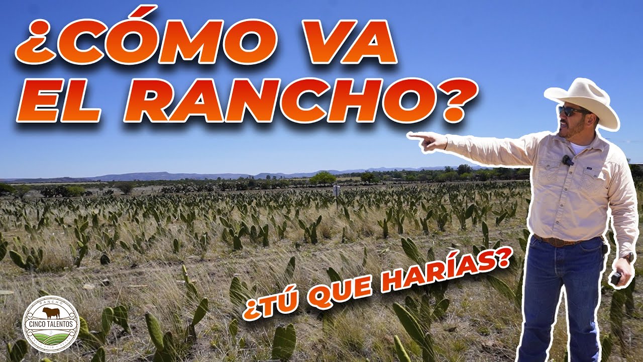 ¿CÓMO VA EL RANCHO? | Rancho Cinco Talentos | Ganaderia