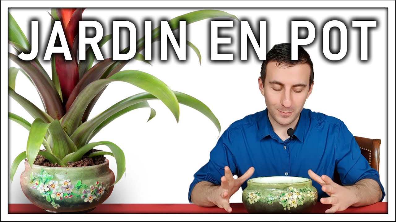 Une jardinière en faïence de Vallauris : expertise