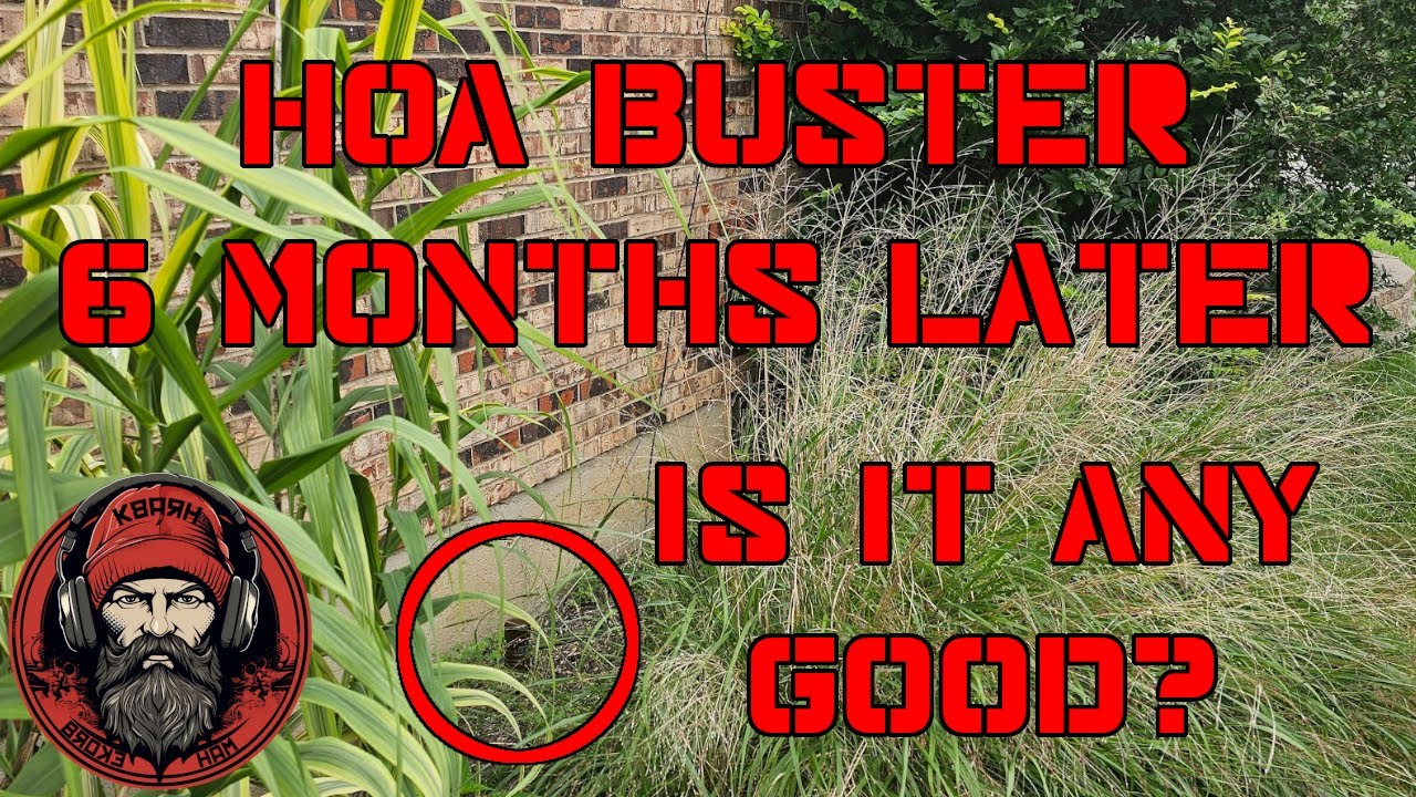 HOA Buster 6 Month Follow Up