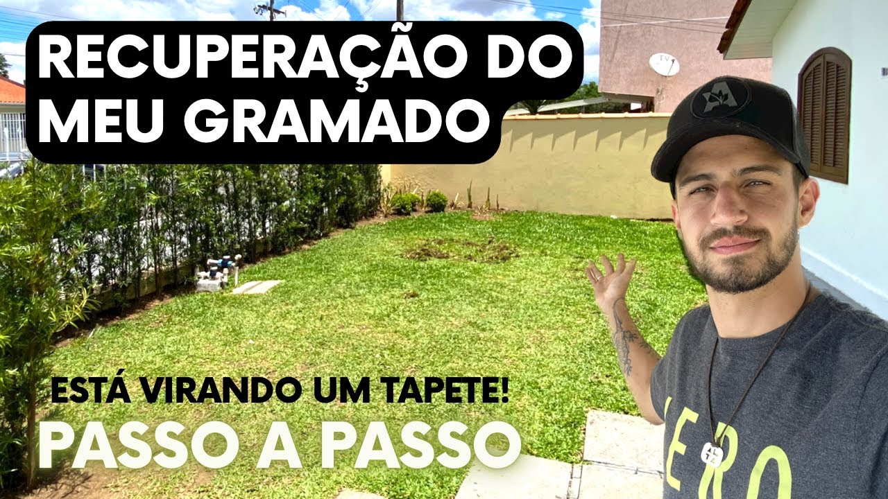 Como recuperar um gramado (recuperação da minha grama) Passo a Passo | Vida de Jardineiro