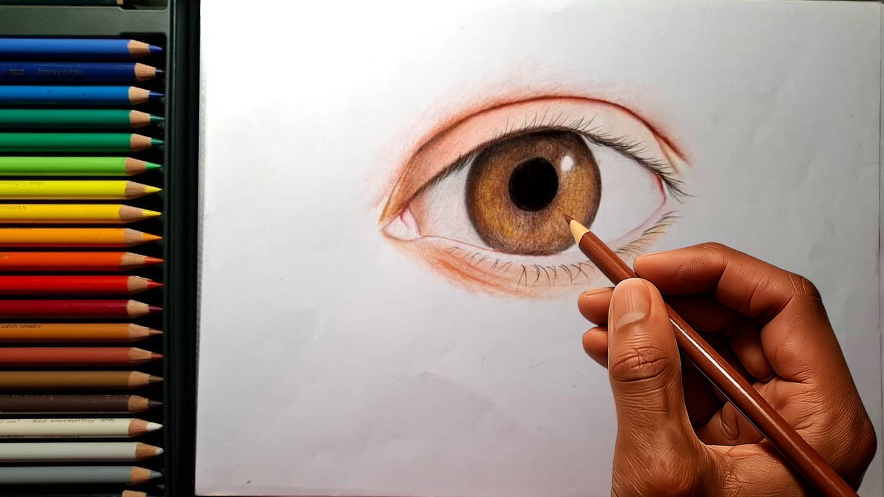 How to draw brown eyes