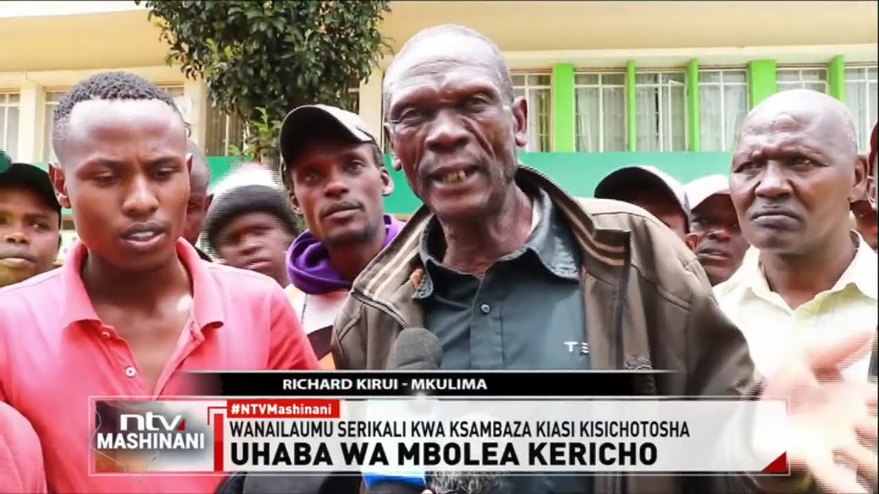 Kericho: Upungufu wa mbolea waibua malalamishi miongoni mwa wakulima