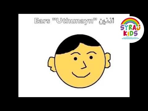 Parts of the Face (Arabic and English) (اجزاء الوجه (عربي و انجليزي | Arabic for Kids