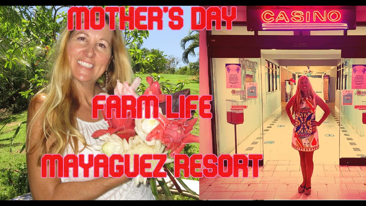 Mother's Day Week at the Farm in Rincon and Mayaguez Resort and Casino, Puerto Rico